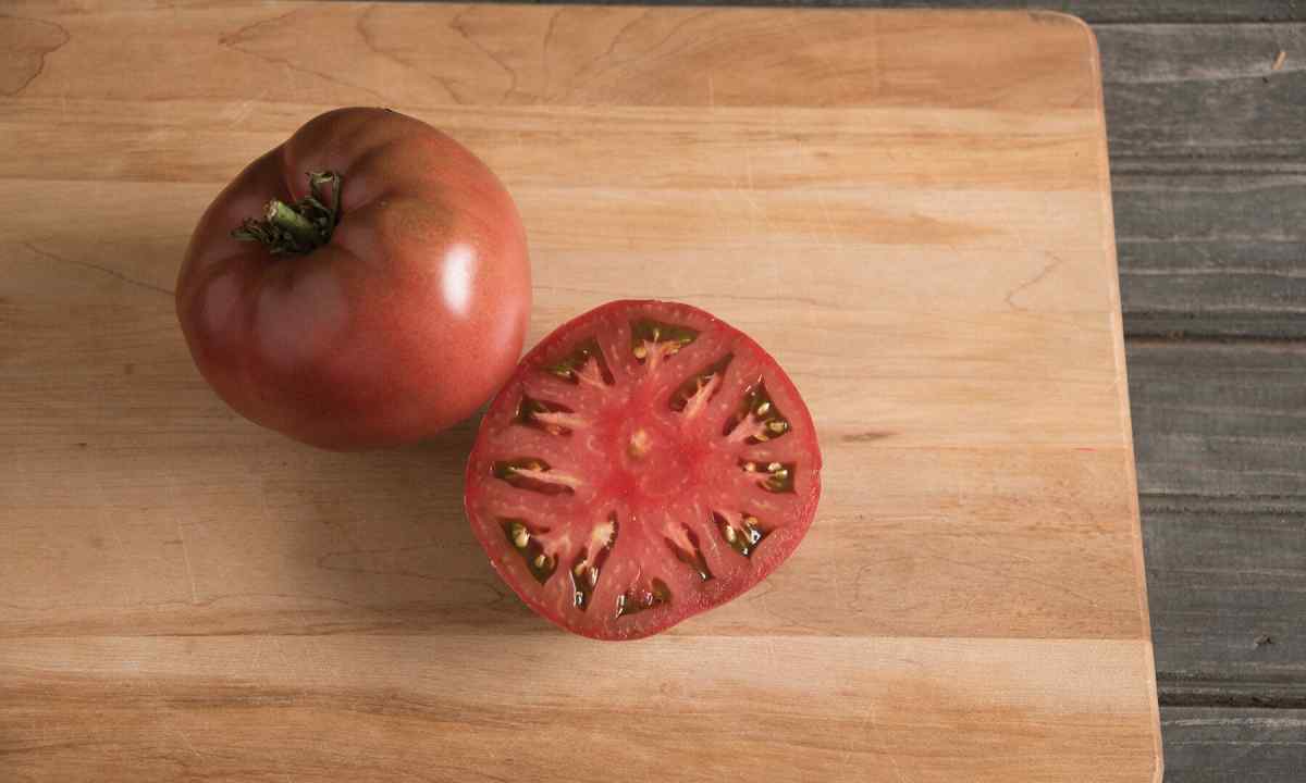 How to choose seeds of tomatoes