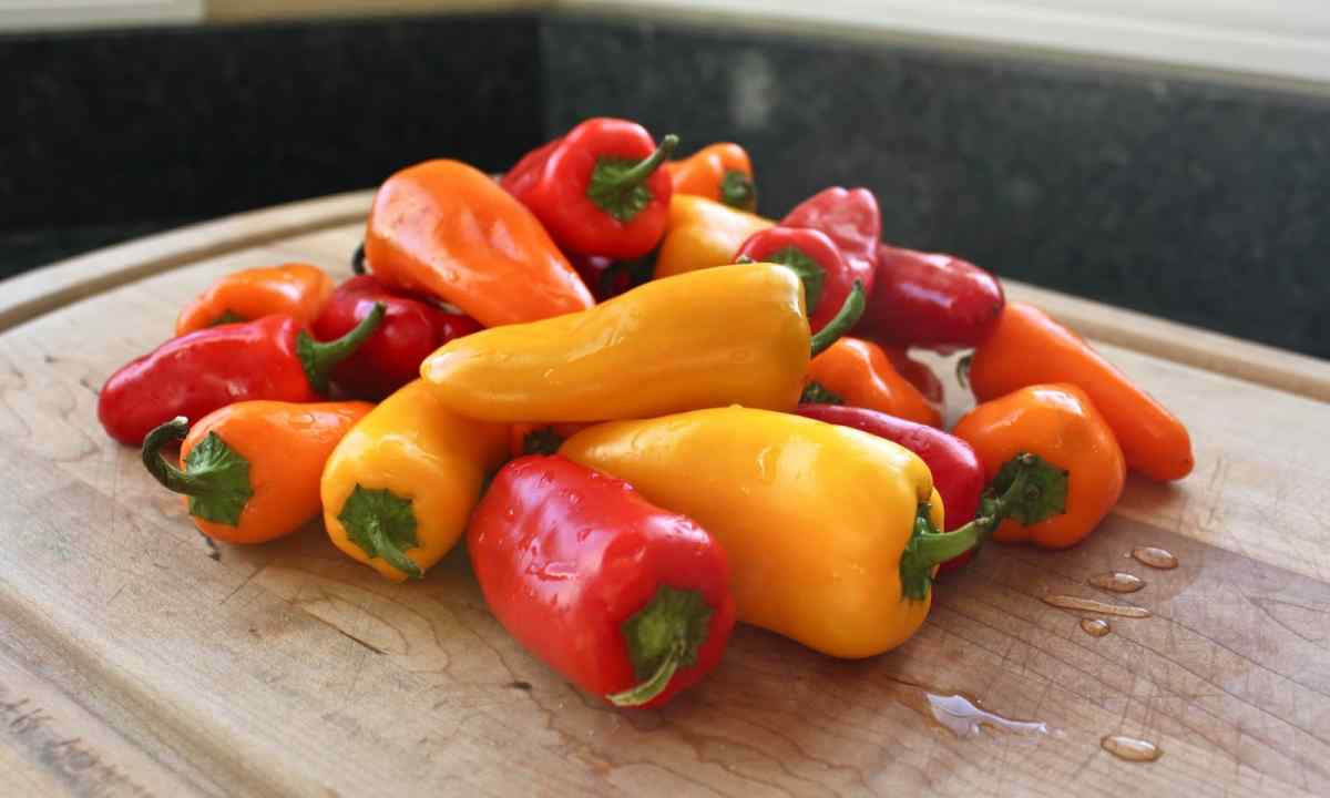 What grades of pepper the most large-fruited and fruitful