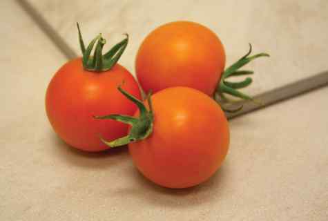 What good seeds of tomatoes