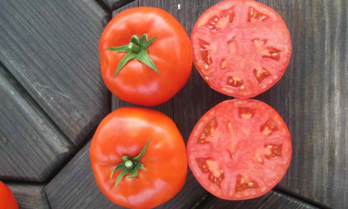 What seeds of tomatoes it is better