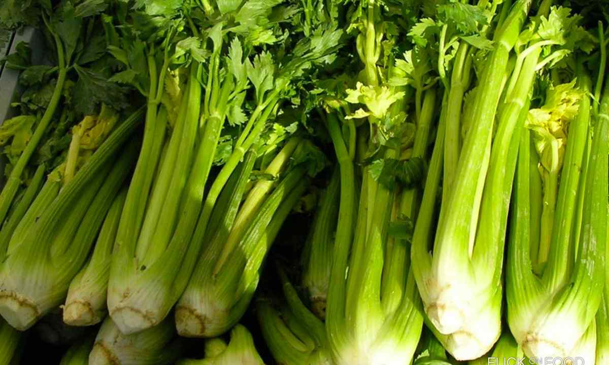 How to grow up celery sheet