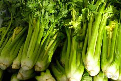How to grow up celery sheet