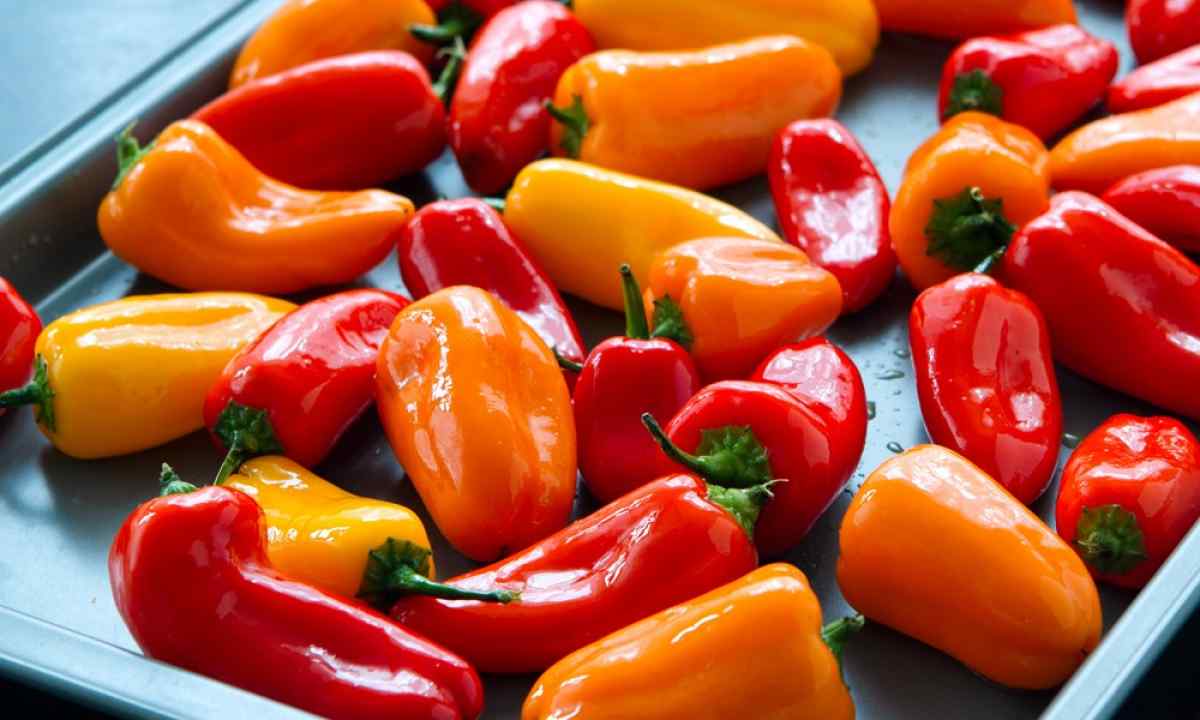 How to grow up pepper sweet