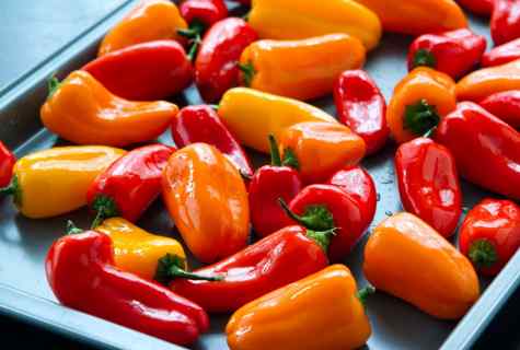 How to grow up pepper sweet
