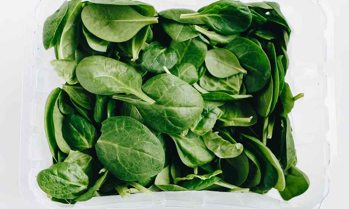 We grow up spinach