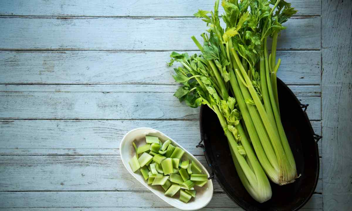 How to put root celery