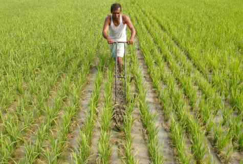 How to pave the way to crops