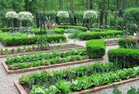 Rules of planning of kitchen garden