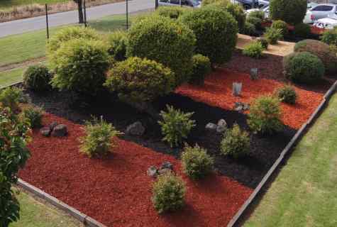 Mulching in garden: than and why