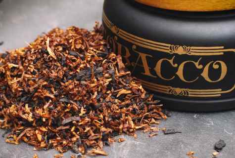 How to grow up fragrant tobacco