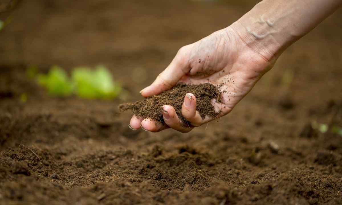 How to enrich the soil