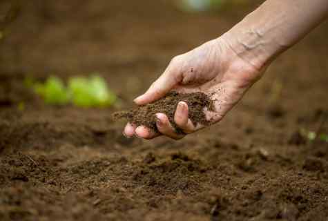 How to enrich the soil