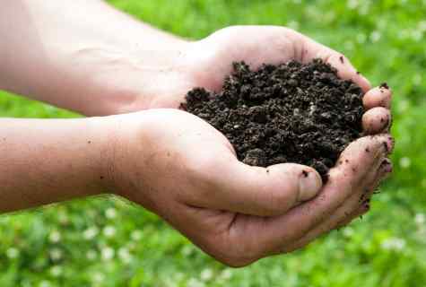 How to cure the soil