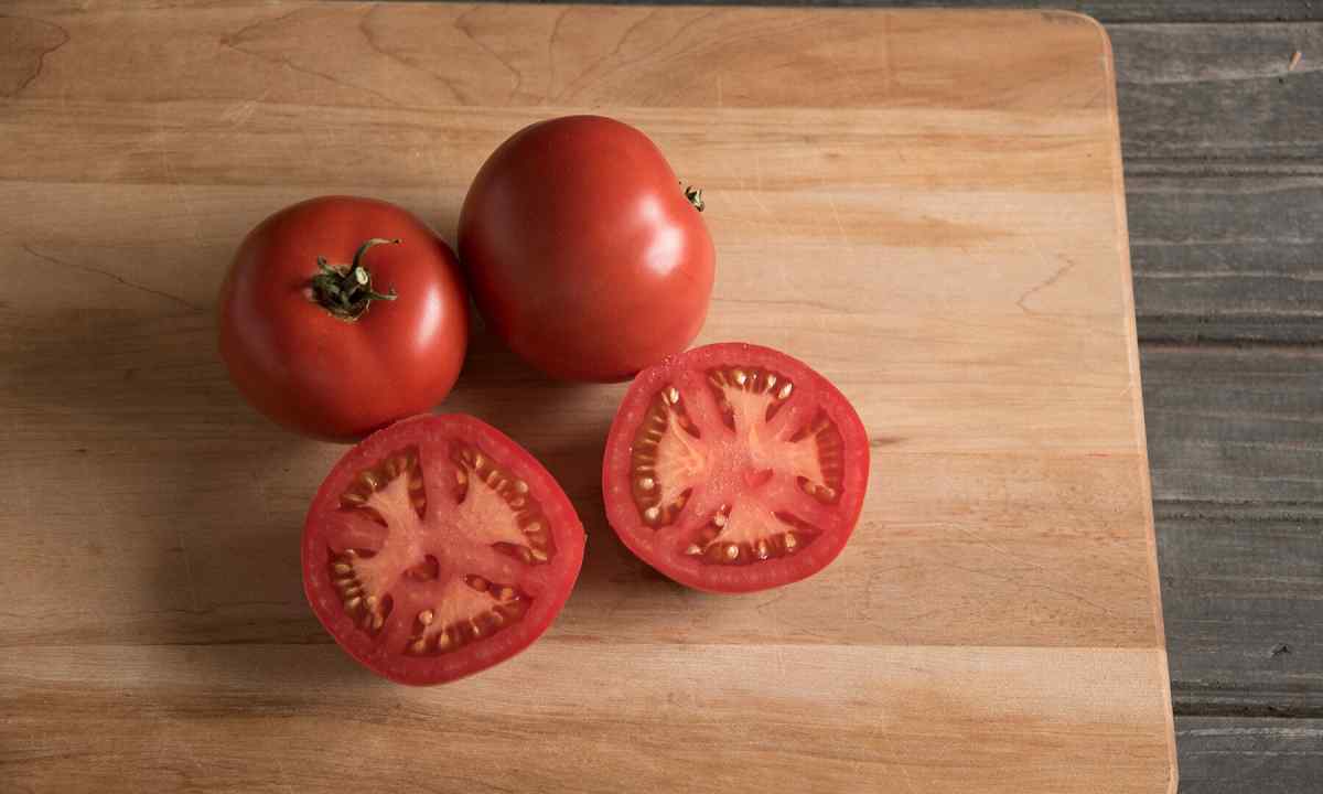 How to prepare tomato seeds for landing
