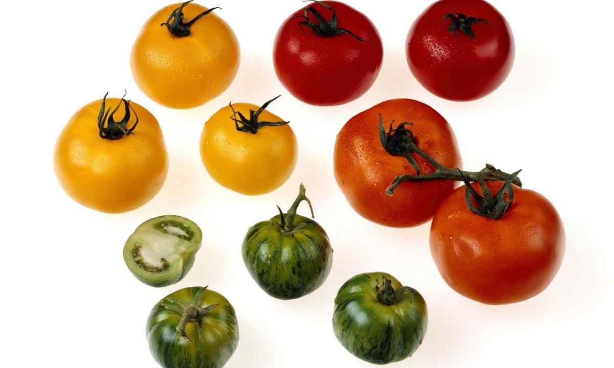 Methods of increase in productivity of tomatoes