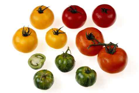 Methods of increase in productivity of tomatoes