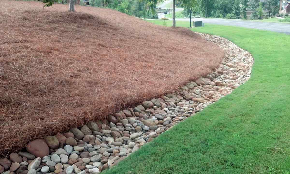 What is mulch and in what its advantage