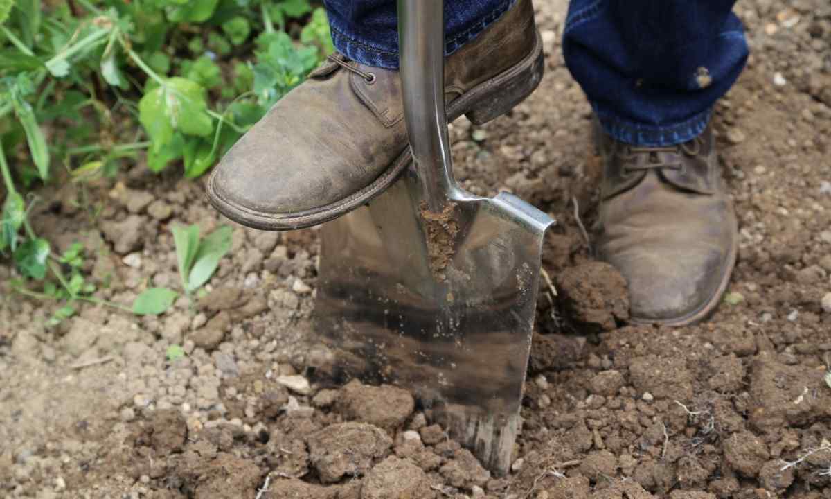 How to improve the soil
