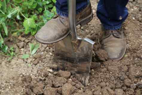 How to improve the soil