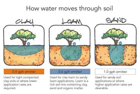 How often to water tomatoes after landing in soil