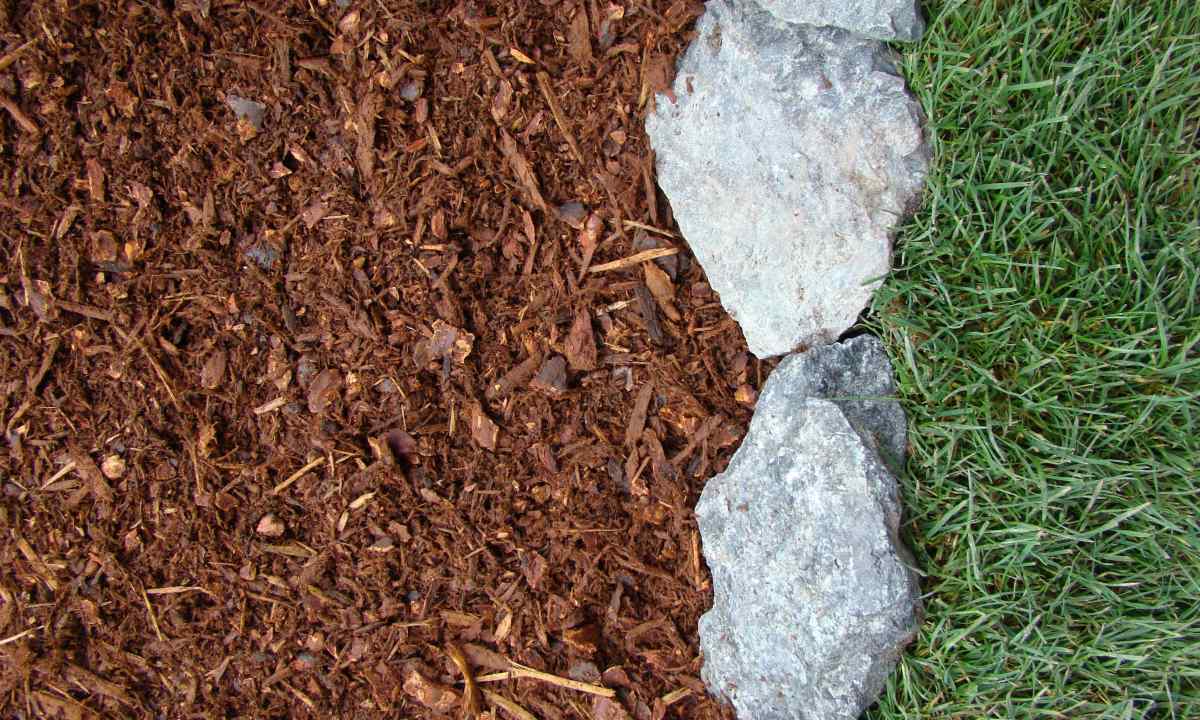 What is mulch and to use it