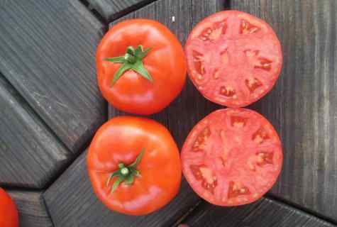How to prepare seeds of tomatoes