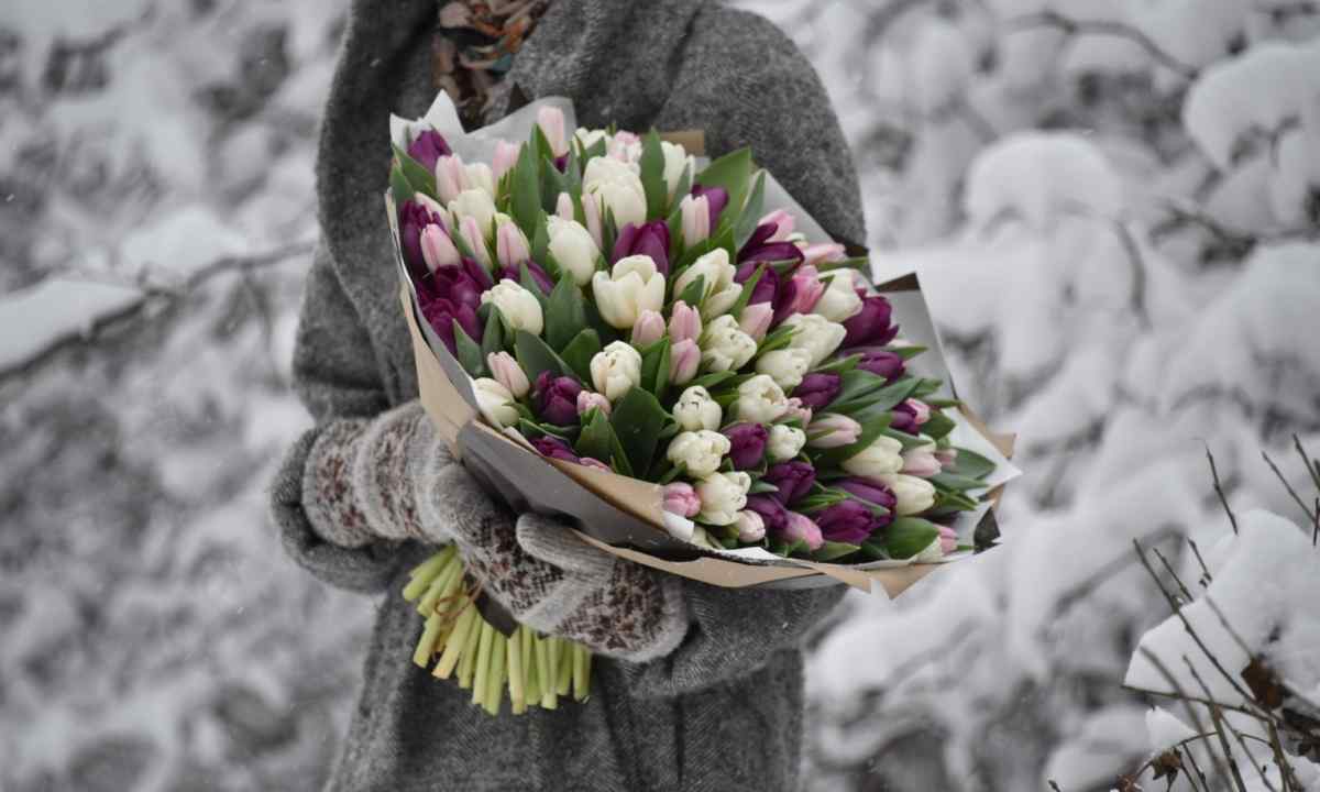 How to store tulips in the winter