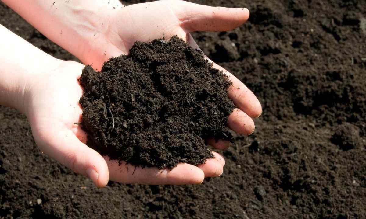 How to reduce acidity of the soil