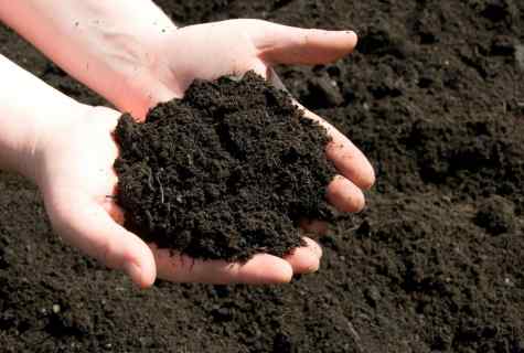 How to reduce acidity of the soil