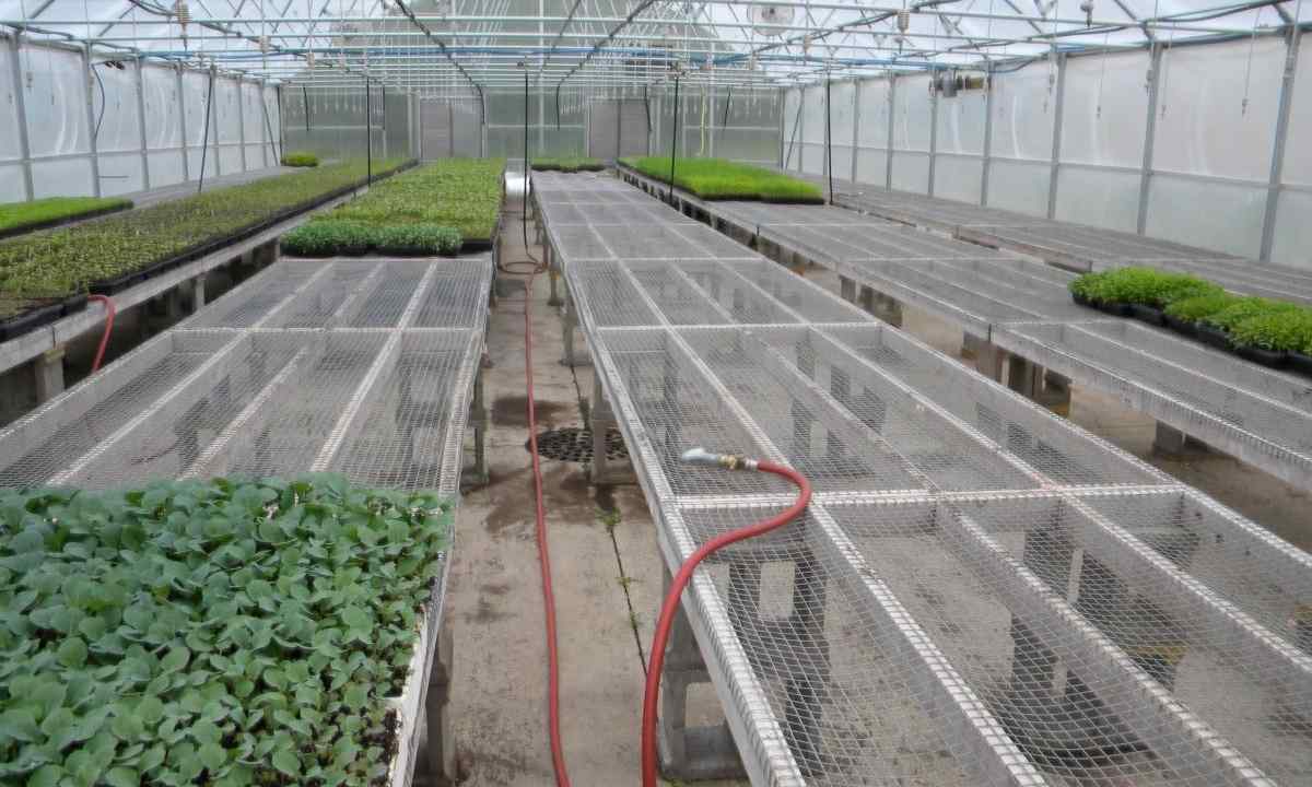 How to reduce condensate in the greenhouse