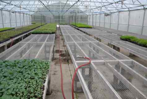 How to reduce condensate in the greenhouse
