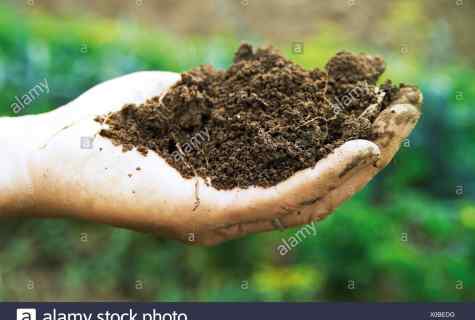 What is soil humus: structure and properties of fertilizer