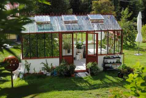 How to collect the bought greenhouse from polycarbonate by the hands