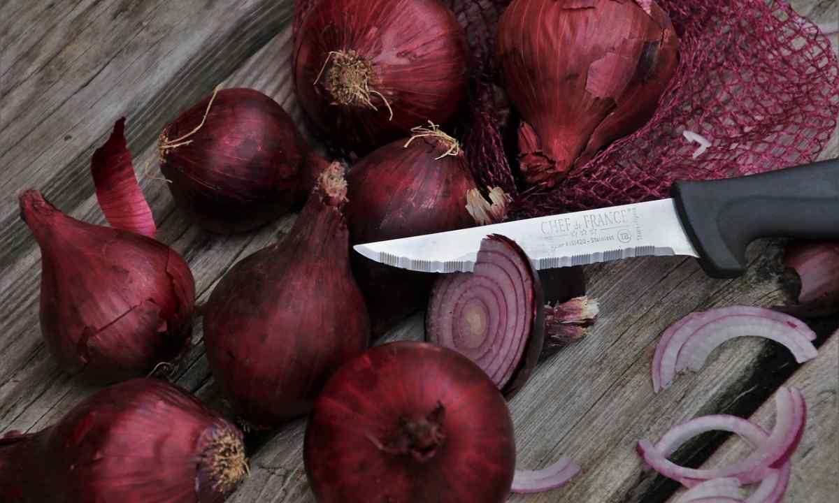 How to save onions from diseases