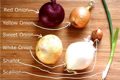Why onions turn yellow