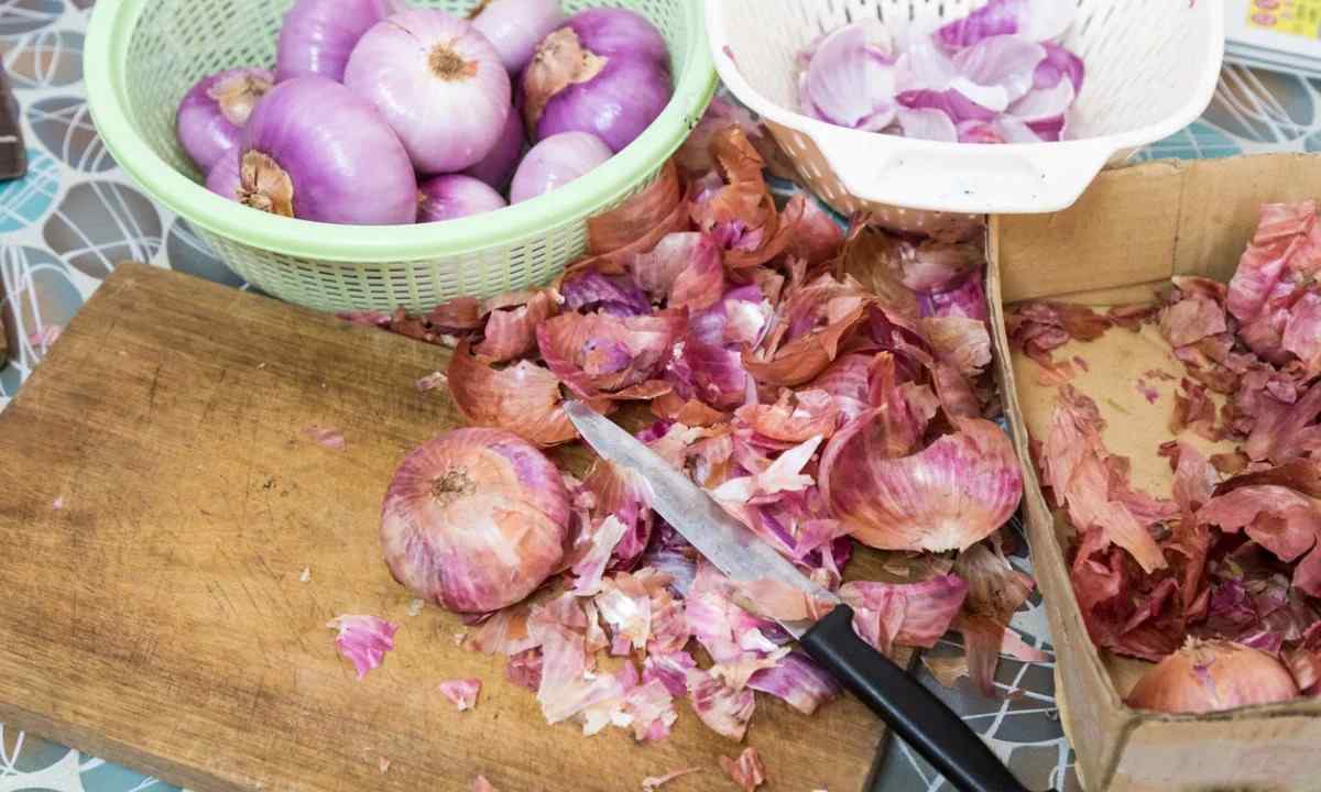 How to use onions peel as fertilizer