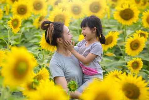 All about girasol: as to grow up it