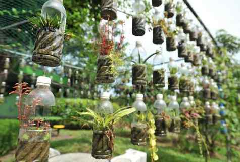 How to make bee of plastic bottles for flower bed