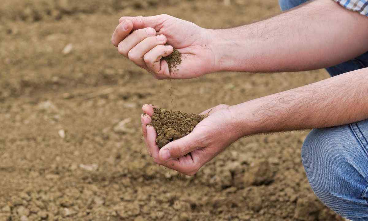How to increase fertility of the soil