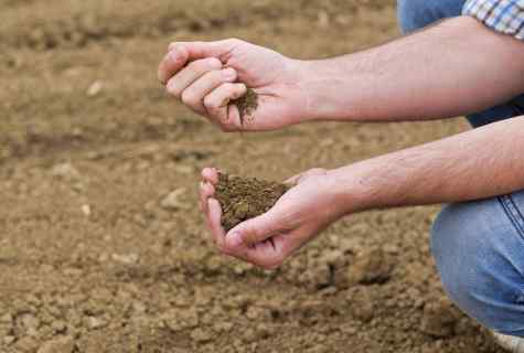 How to increase fertility of the soil