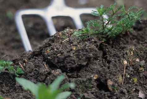 How to prepare soil
