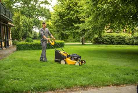 Pluses and minuses of the mechanical lawn-mower