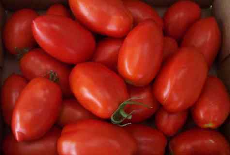 Tomatoes of Rio to Granda: characteristic and description of grade