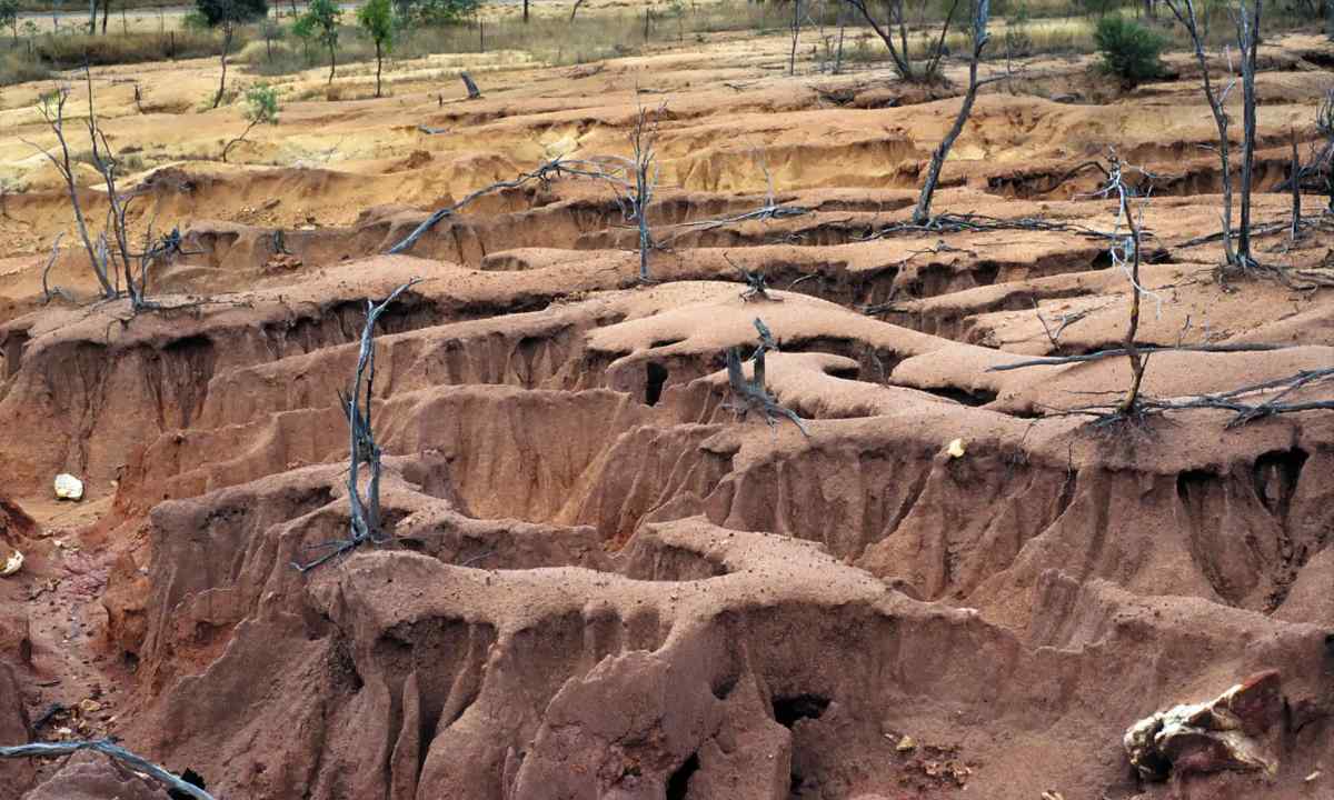How to protect the soil from erosion