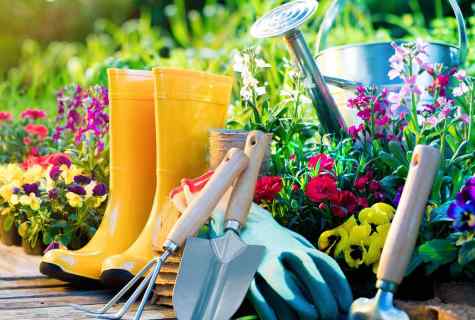 Spring works in garden and kitchen garden