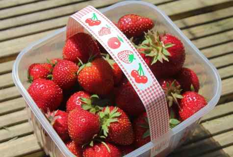 Than to feed up strawberry in the spring and in the summer