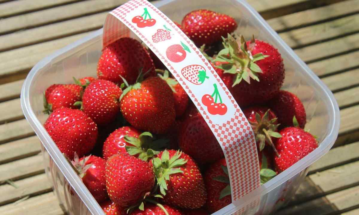 Than to feed up strawberry in April, May