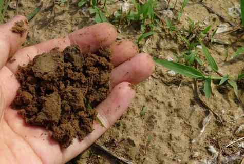 How to revitalize the soil