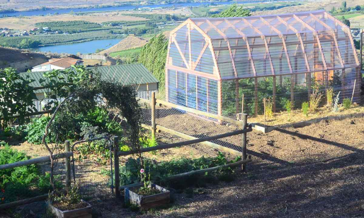 How to make the winter greenhouse