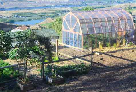 How to make the winter greenhouse